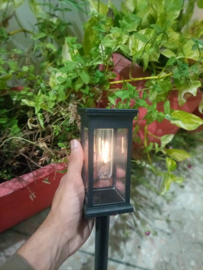 Solar light 6
