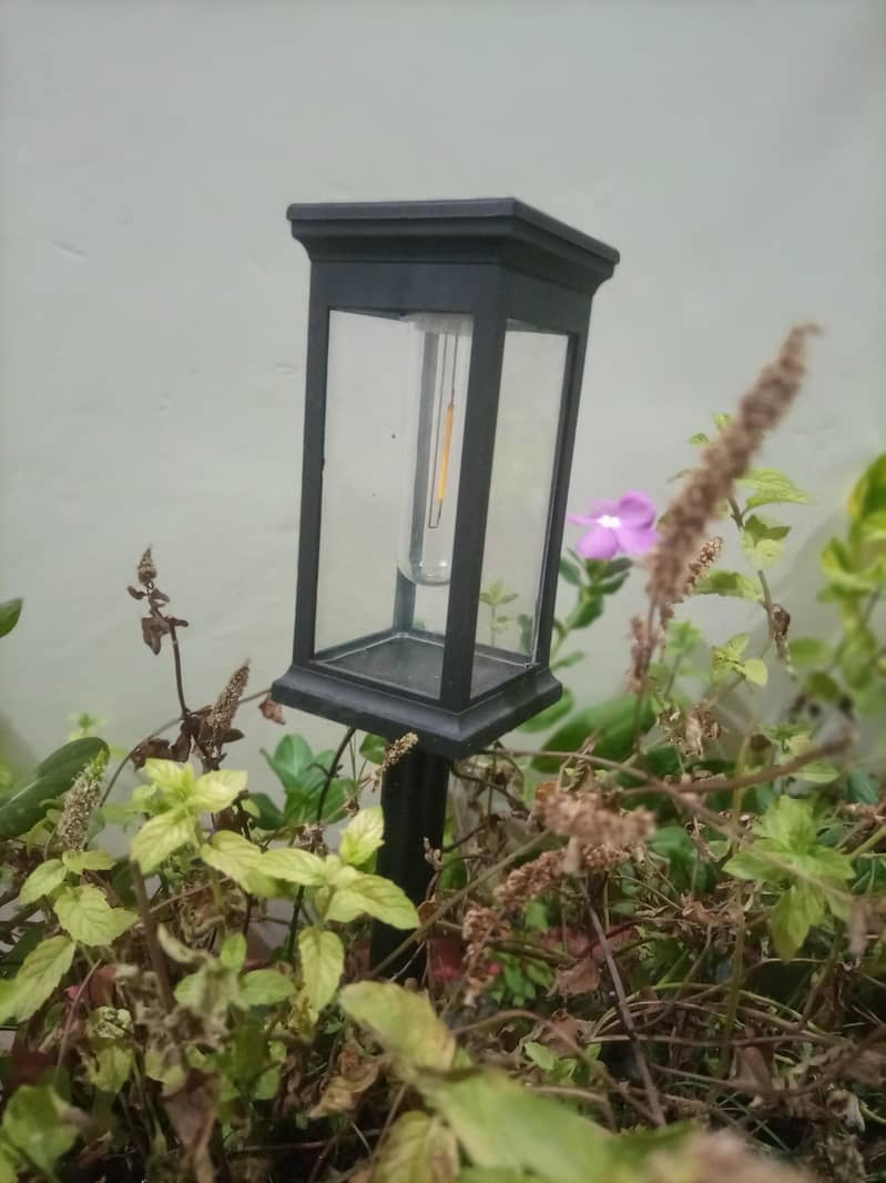 Solar light 7