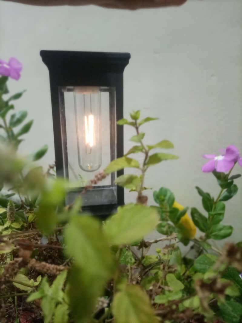 Solar light 8