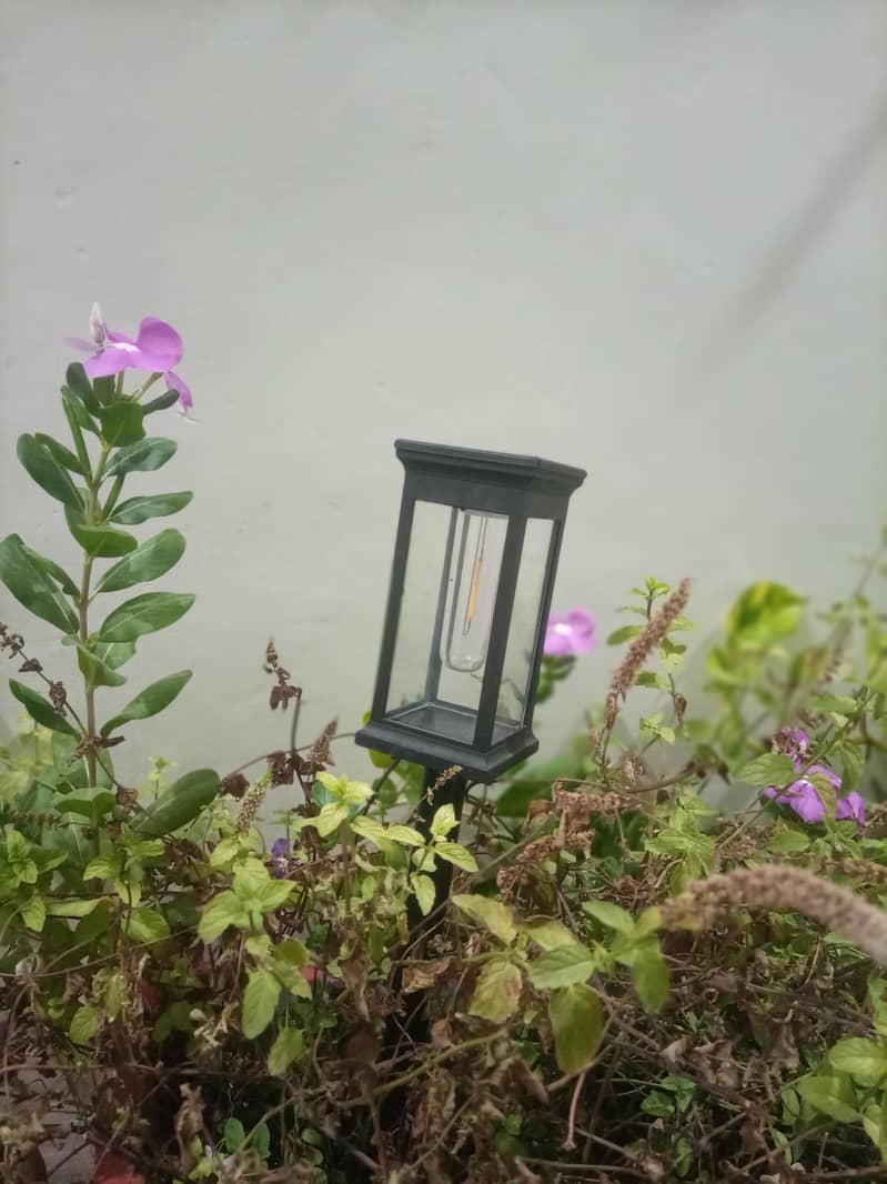 Solar light 9