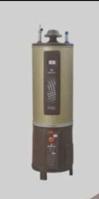 Nas Gas gyser in excellent condition