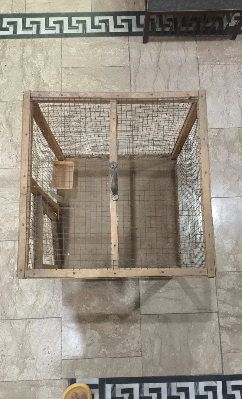 Wooden Pinjra/Cage for Birds & Small Animals, wooden made, Heavy Duty. — photo 2