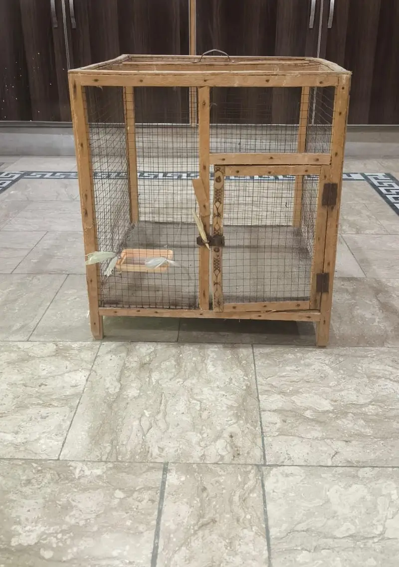 Wooden Pinjra/Cage for Birds & Small Animals, wooden made, Heavy Duty. — photo 3