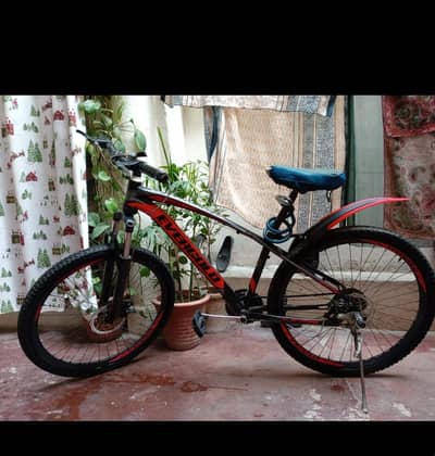 Full size bicycle for sale