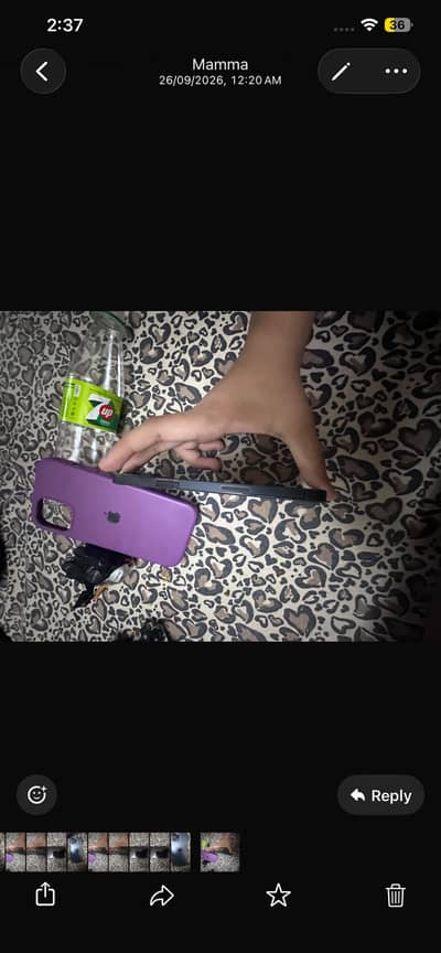 Apple iPhone 12 Pro Max