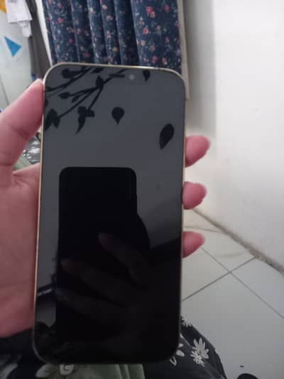 Apple iPhone 12 Pro