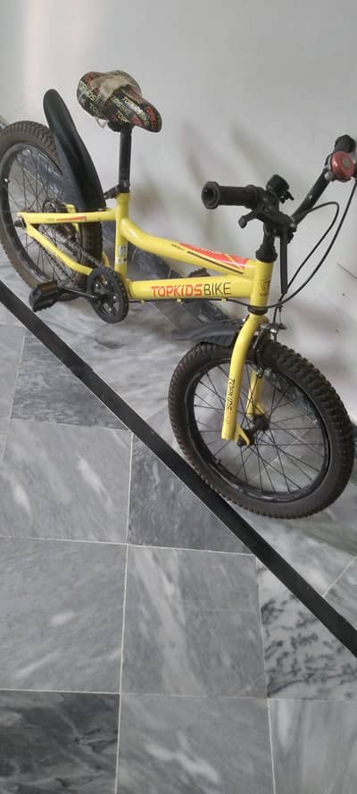 Top Kids Mountain Bike – Good Condition