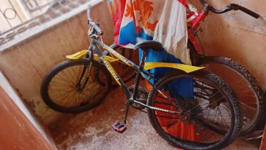 cycle for sale urnjunt