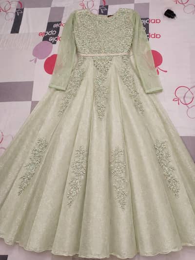 Beautiful mint green embroidered maxi dress formal party wear.