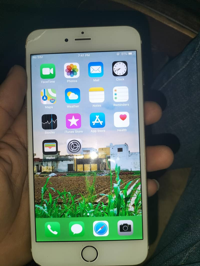 Apple iPhone 6 Plus 5