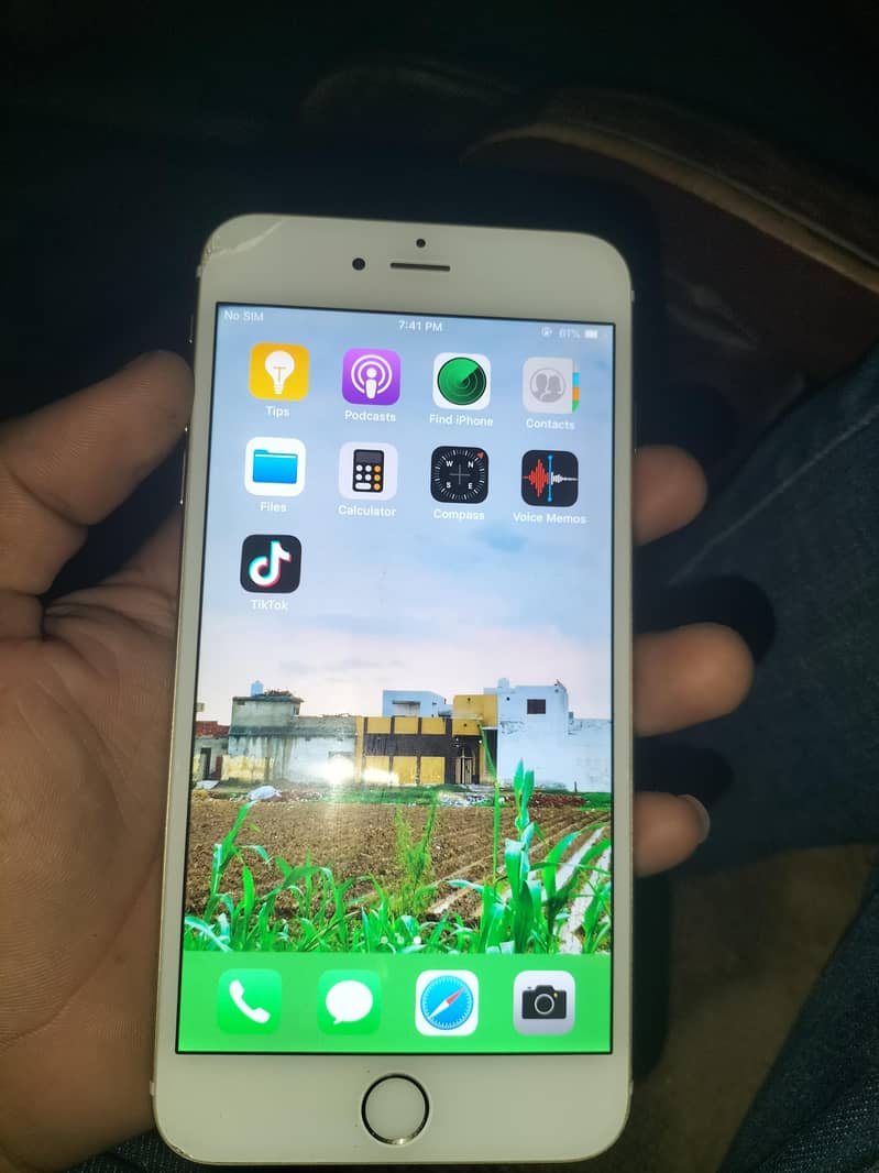 Apple iPhone 6 Plus 6