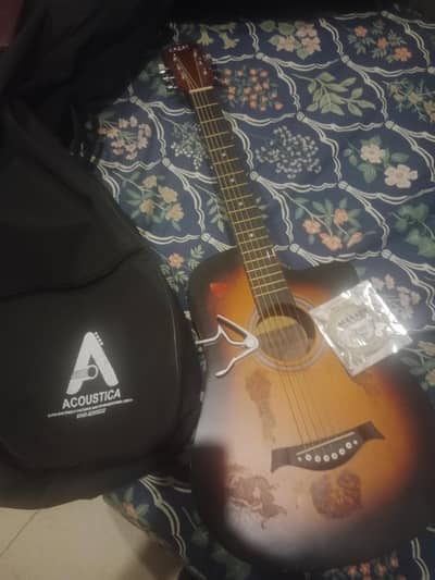 acoustic guitar for beginners