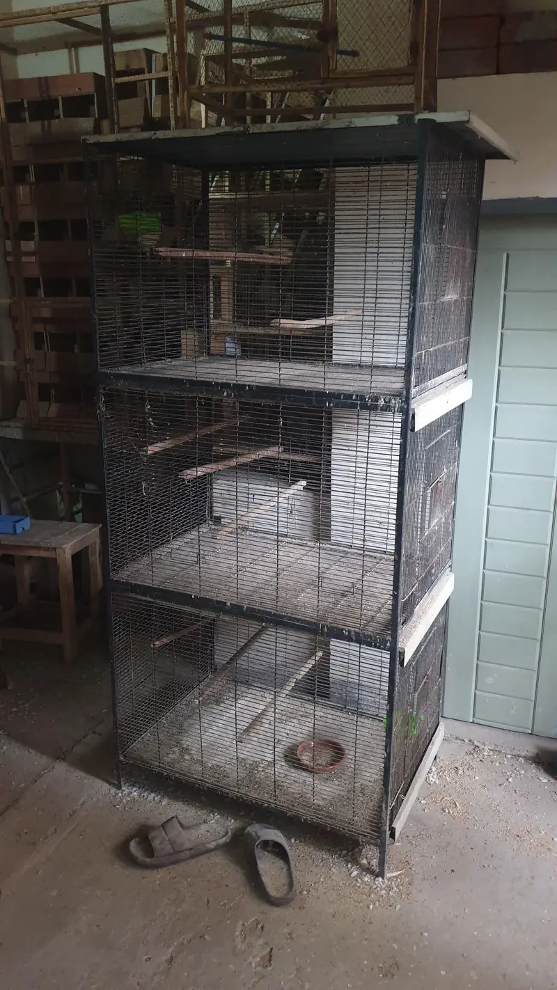 500 Per Piec Boxes /Heavy Weight Spot Welding   Cages/ Whatts app Only — photo 2