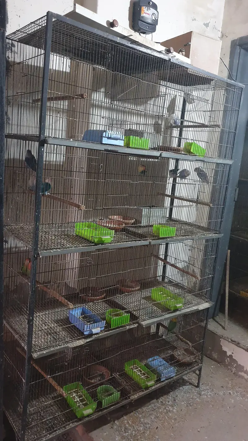 500 Per Piec Boxes /Heavy Weight Spot Welding   Cages/ Whatts app Only — photo 5