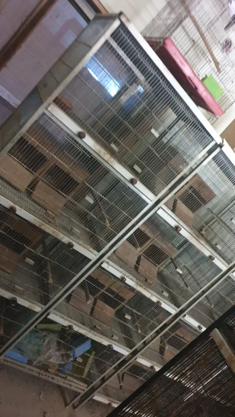 500 Per Piec Boxes /Heavy Weight Spot Welding   Cages/ Whatts app Only — photo 9