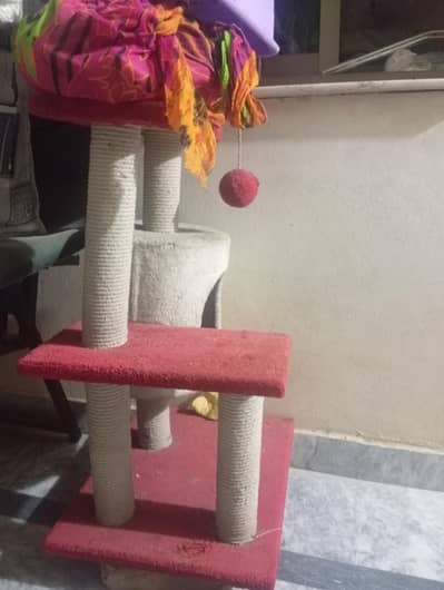 For Sale