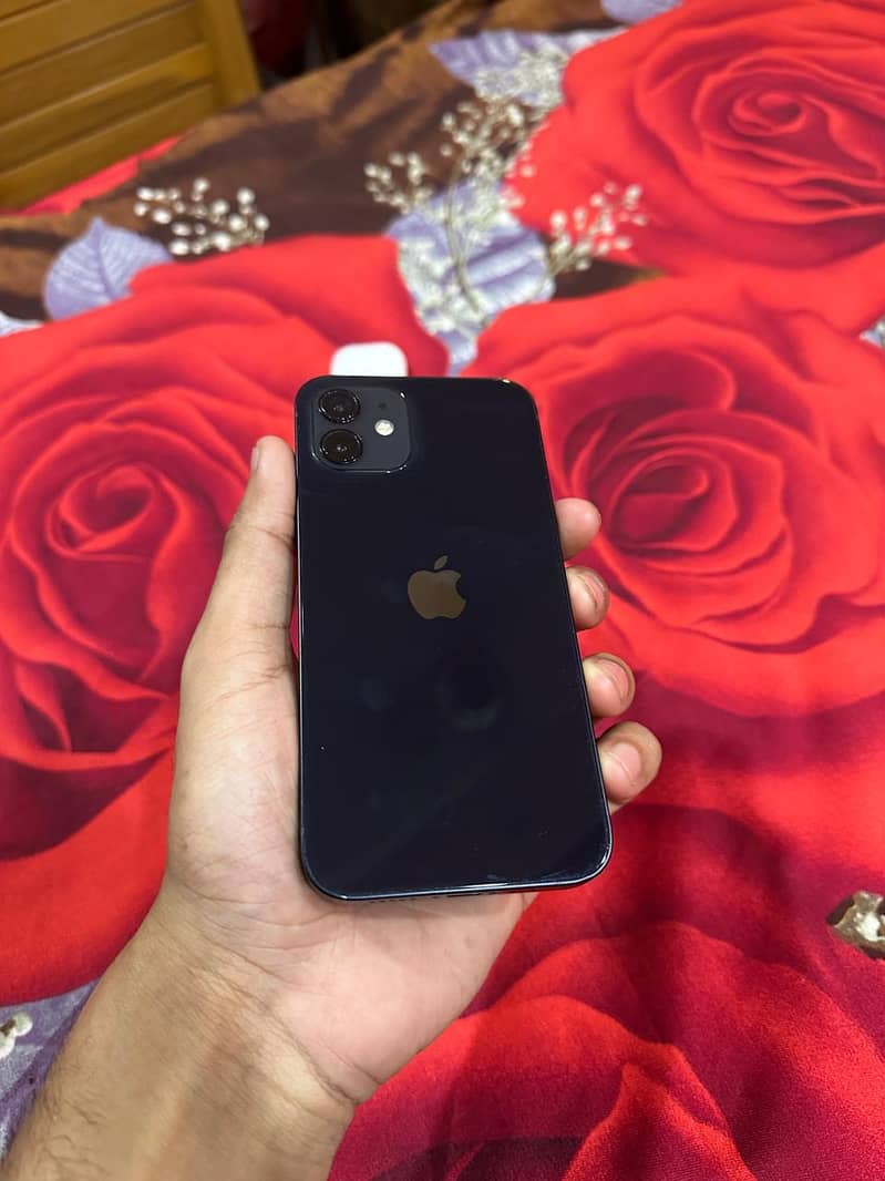 Apple iPhone 12 1