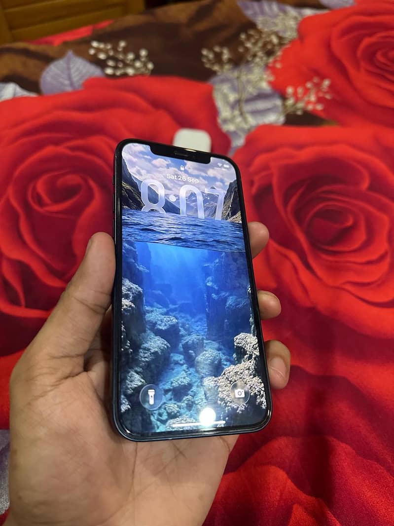 Apple iPhone 12 4