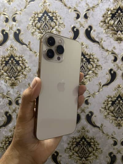 Apple iPhone 13 Pro Max