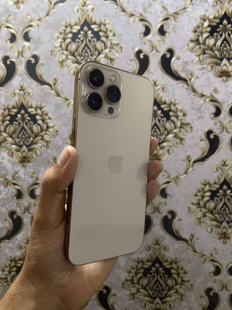 Apple iPhone 13 Pro Max 0