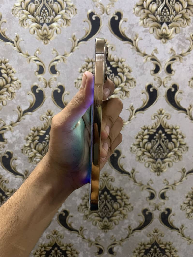Apple iPhone 13 Pro Max 1