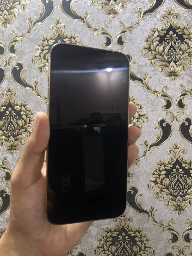Apple iPhone 13 Pro Max 2