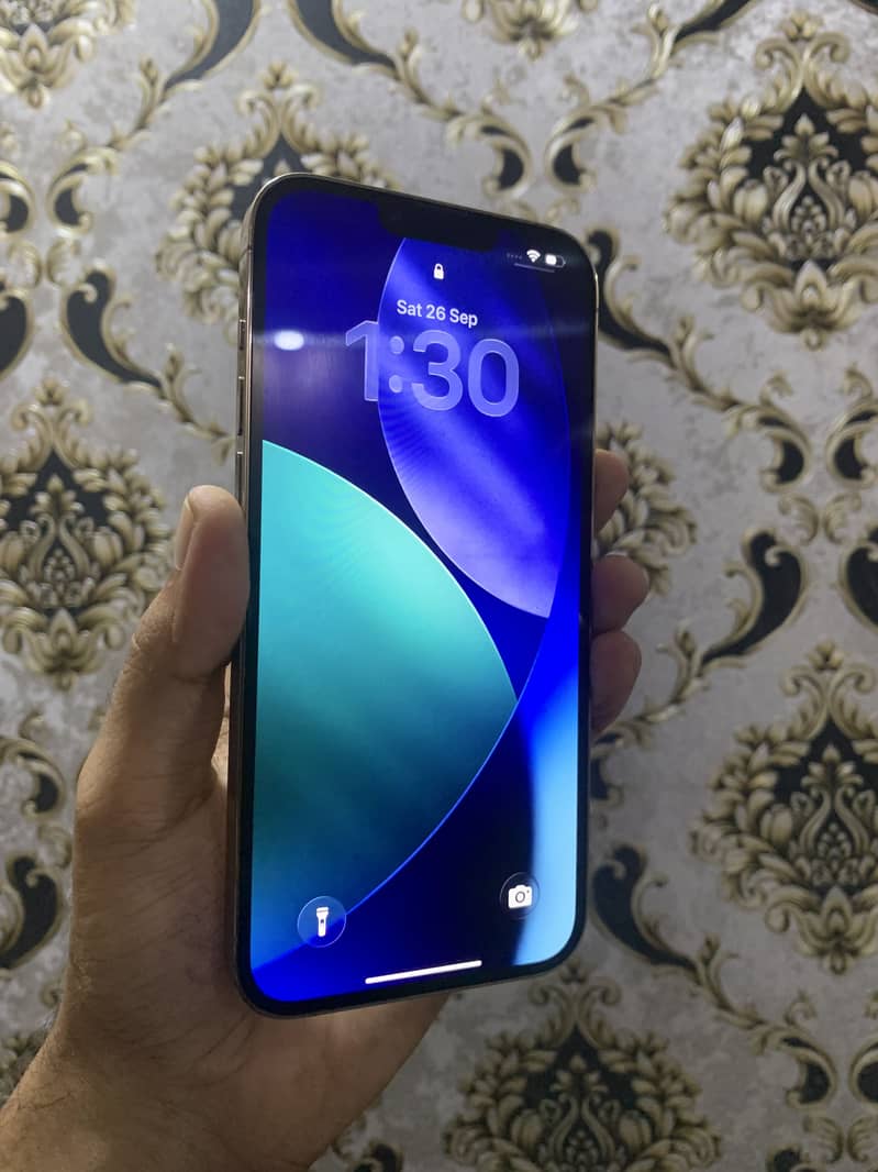 Apple iPhone 13 Pro Max 3