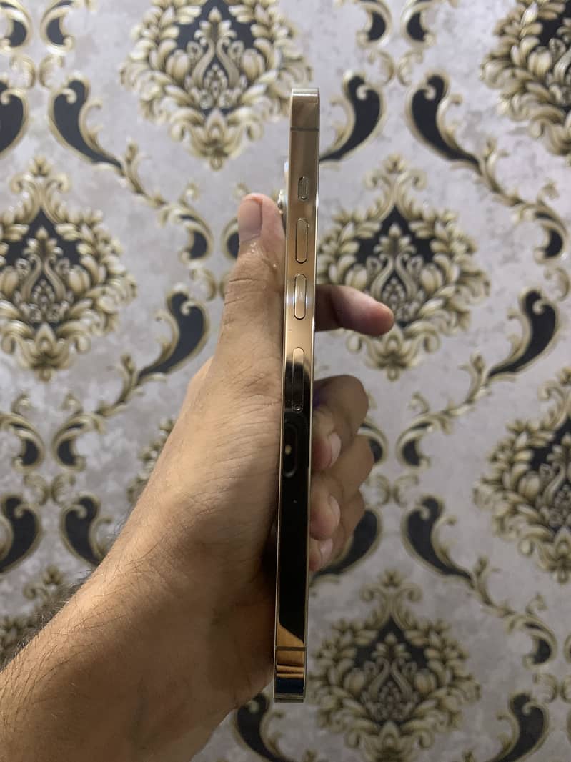 Apple iPhone 13 Pro Max 5