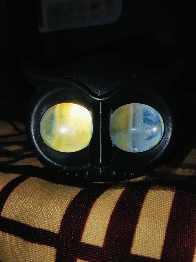 Owl light 2
