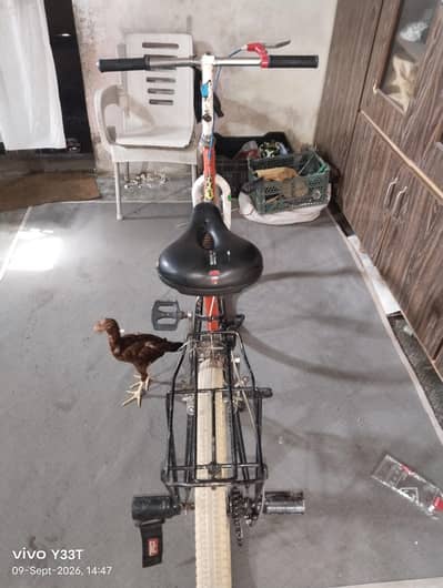 phoneix cycle for sale