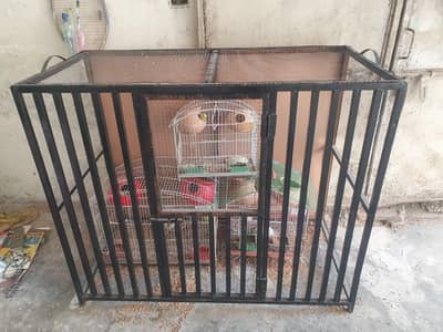 New Cage