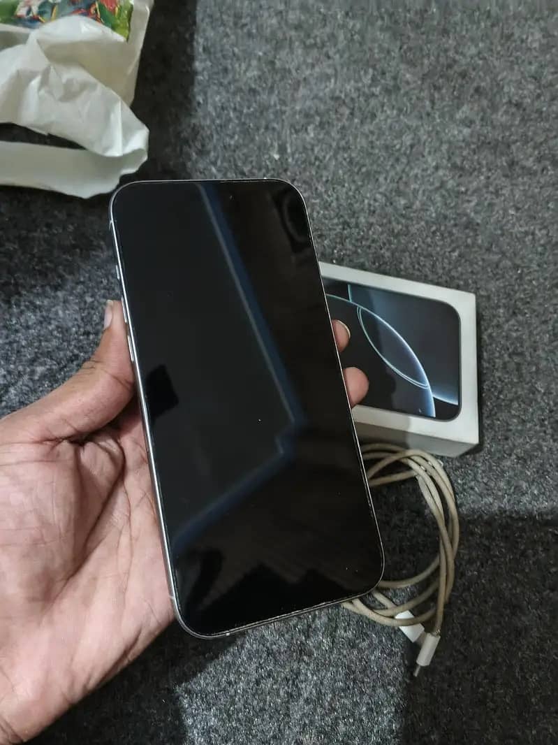 Apple iPhone 16 Pro Max 1