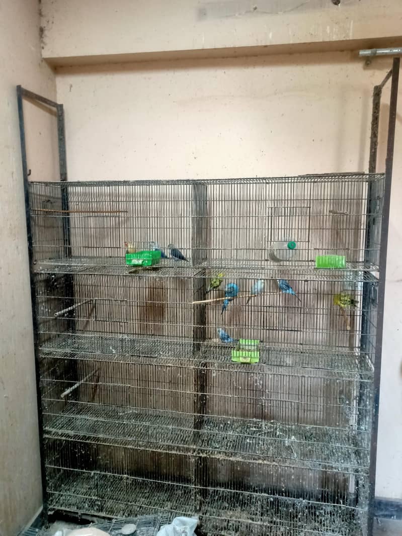 cage 8 Portion 1