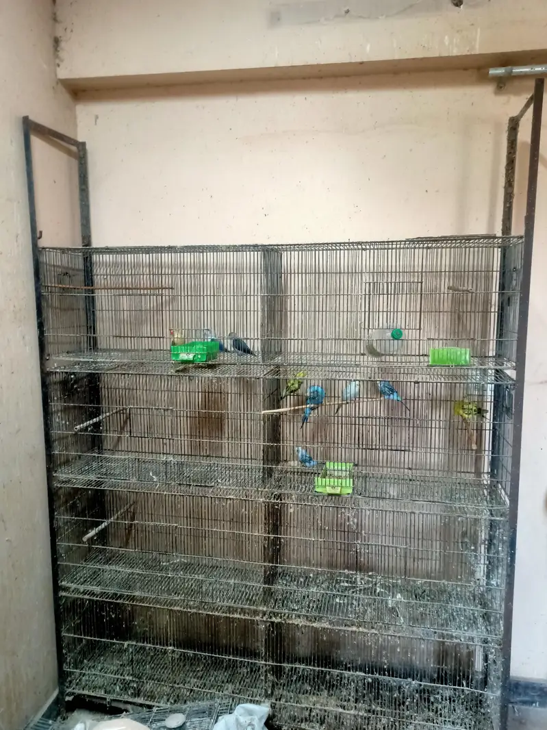 cage 8 Portion — photo 2