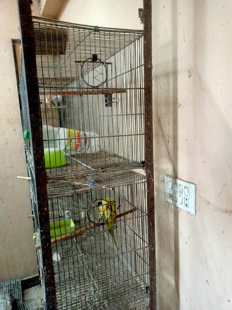 cage 8 Portion 2