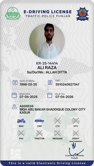 I m a professional driver