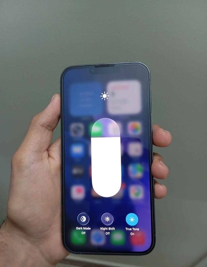 Apple iPhone 13 Pro Max 1