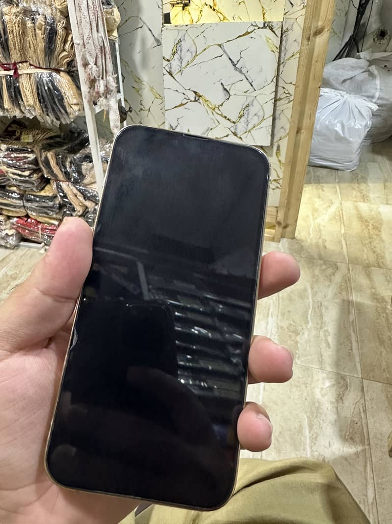 Apple iPhone 13 Pro Max 1