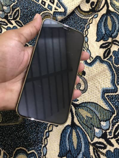 Apple iPhone 12 Pro