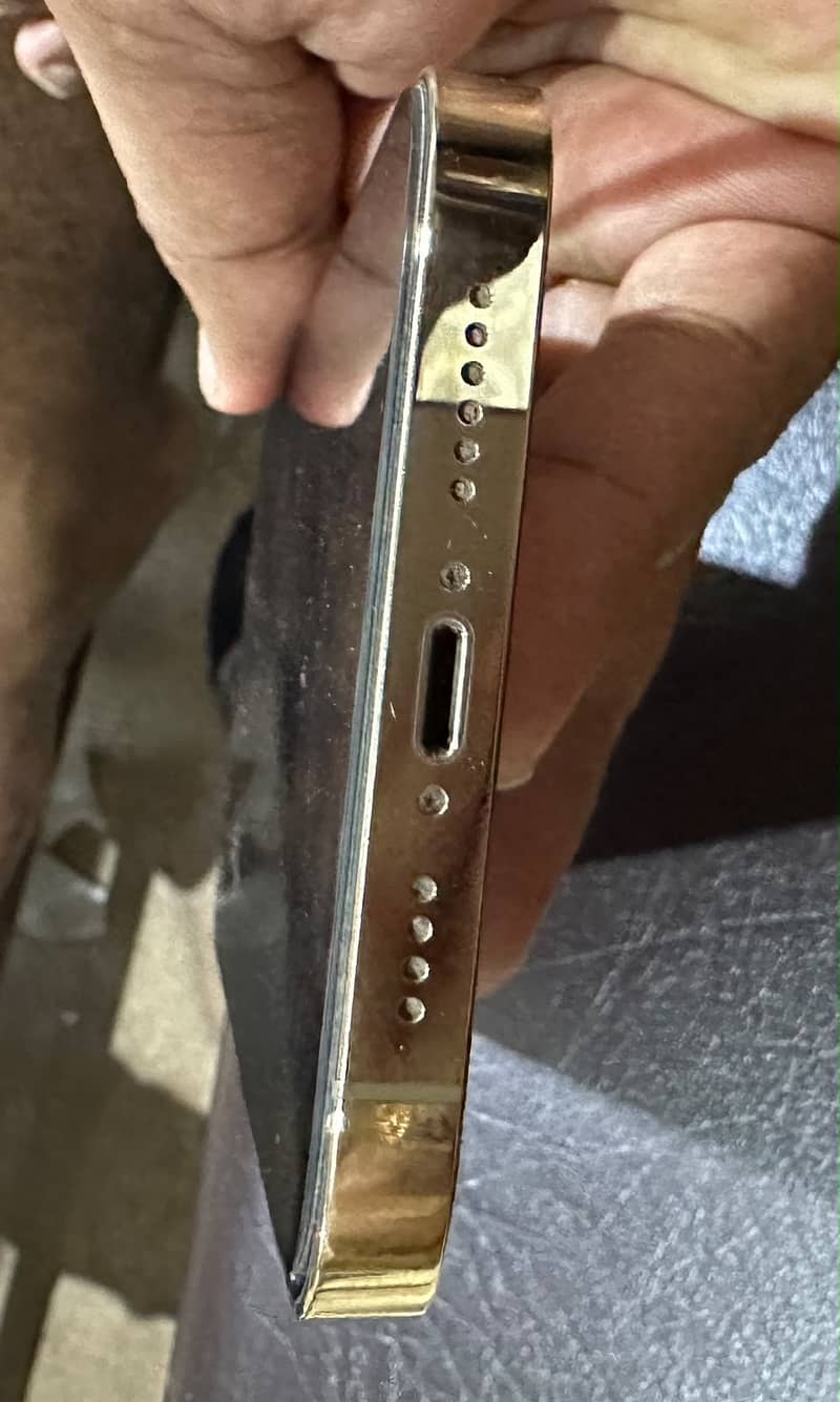 Apple iPhone 13 Pro Max 2