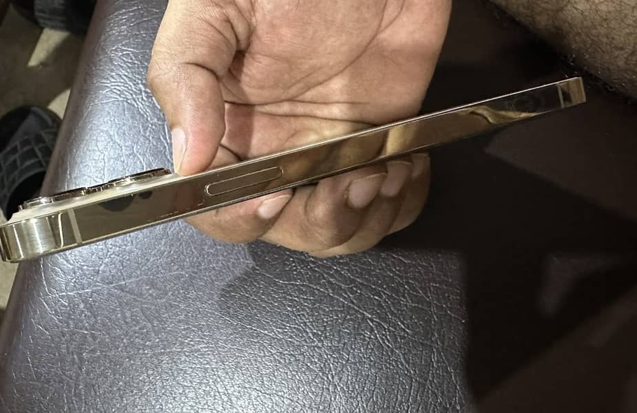 Apple iPhone 13 Pro Max 3