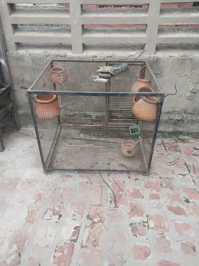 Cages For Sale - Urgent Sale
