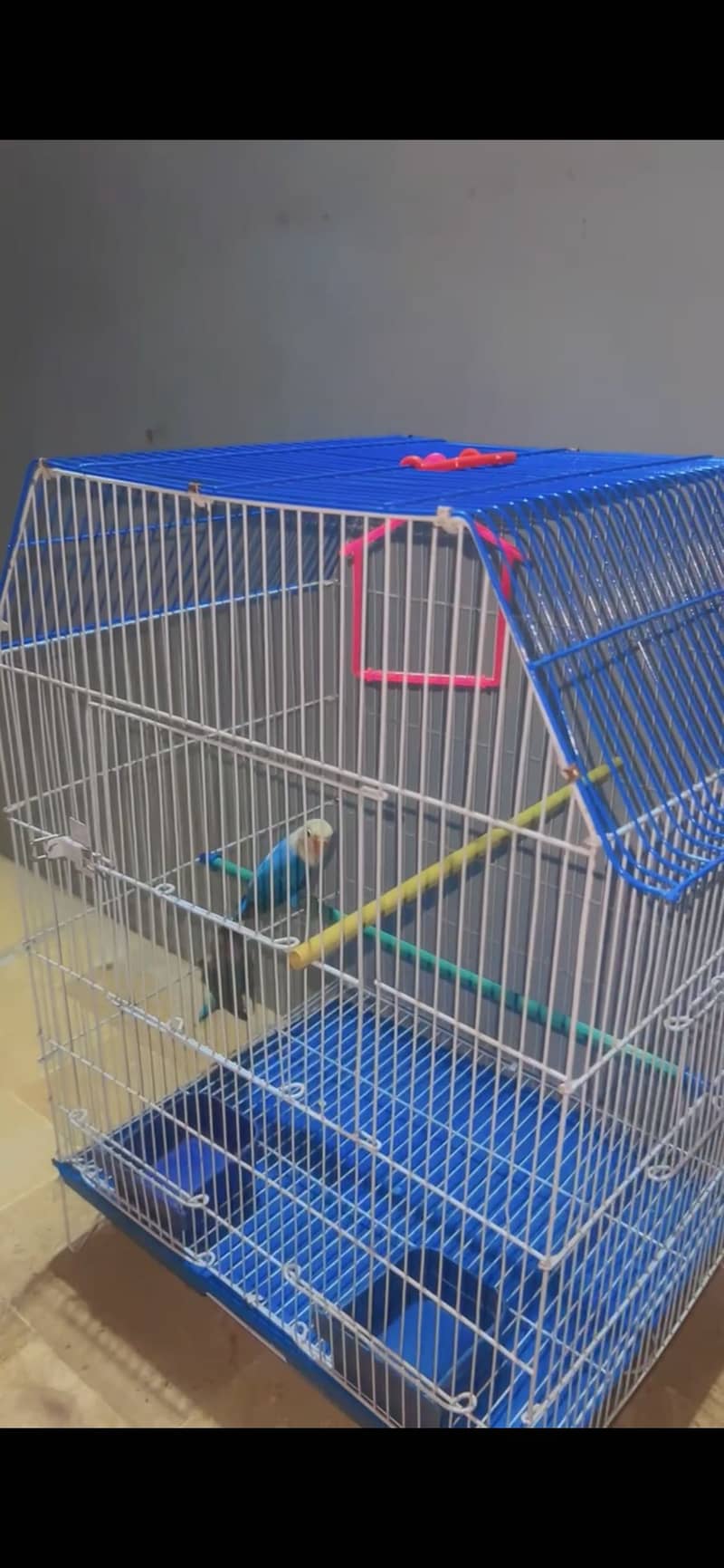 Cage jumbo size 1