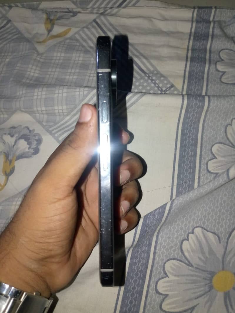 Google Pixel 9 Pro XL 1