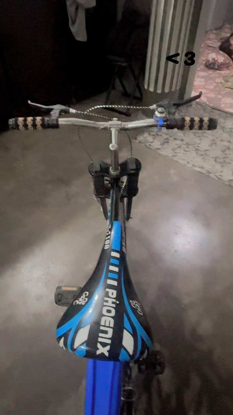 new condition bicycle 1