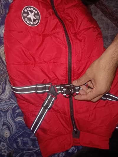 winter care jacket for ur loved pets