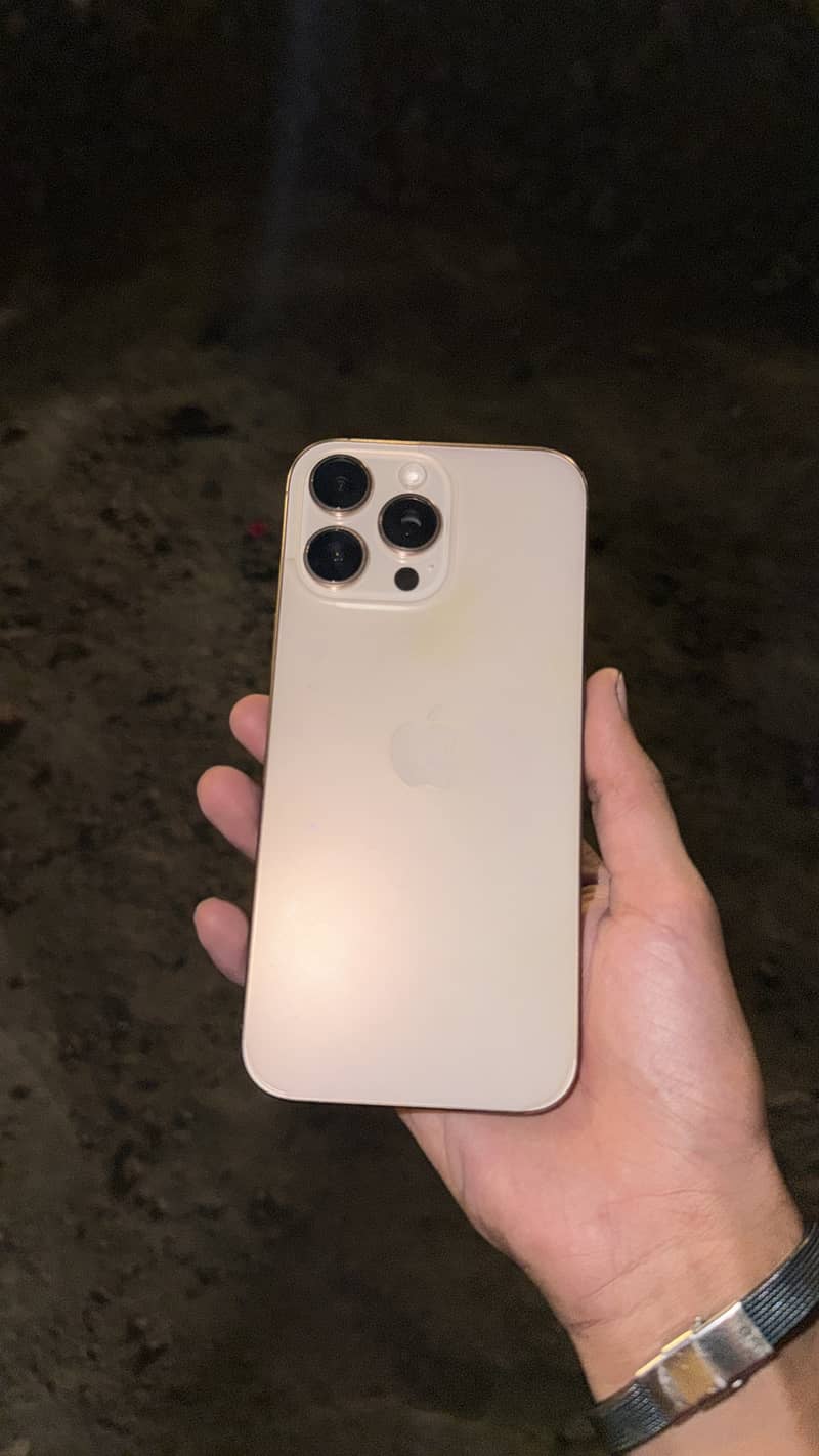Apple iPhone 16 Pro Max 1