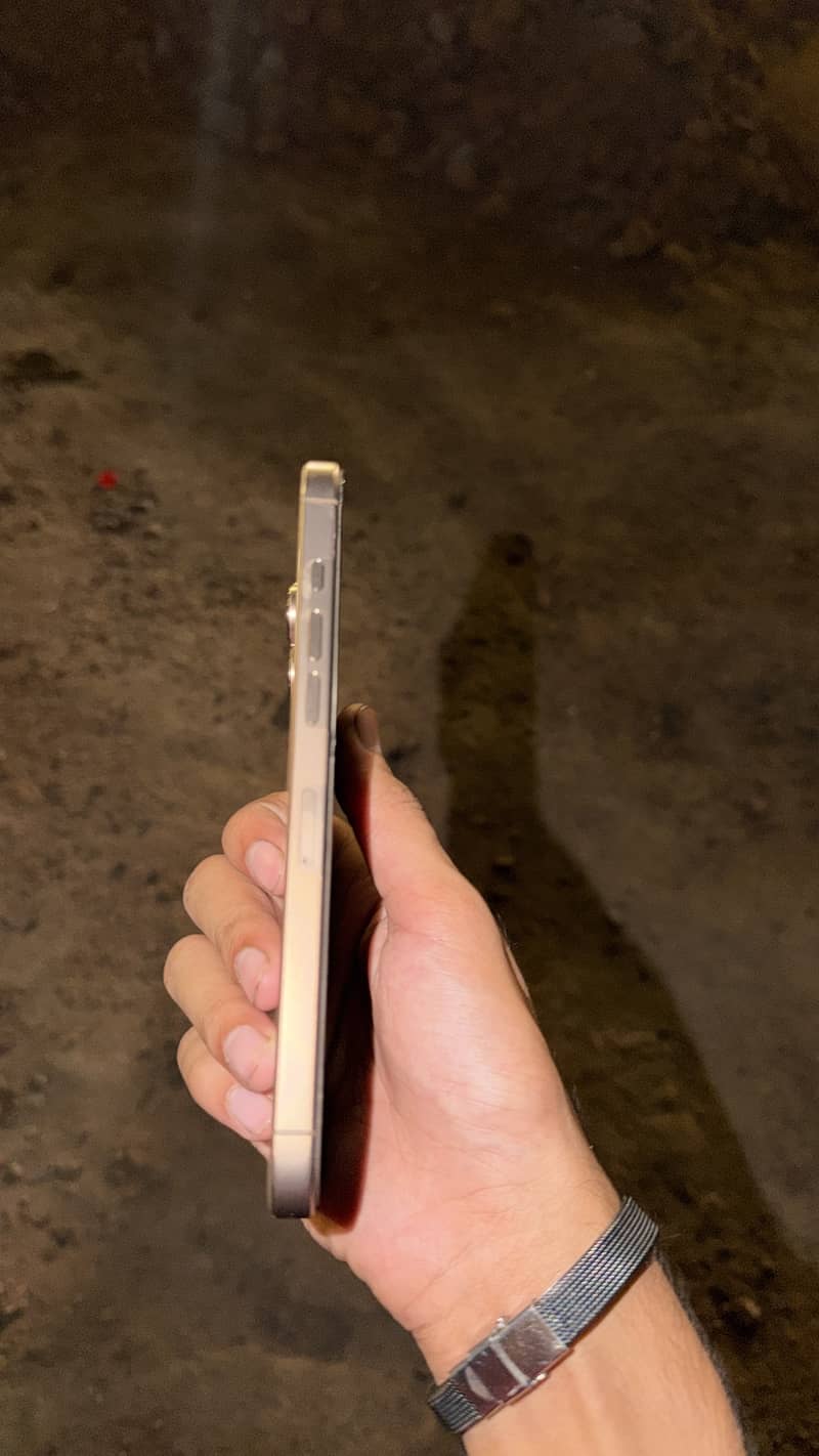 Apple iPhone 16 Pro Max 2