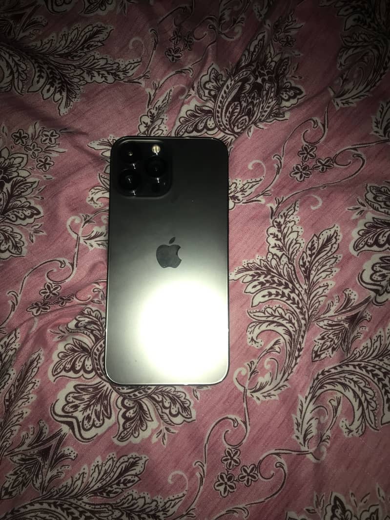 iPhone 13 Pro Max 1