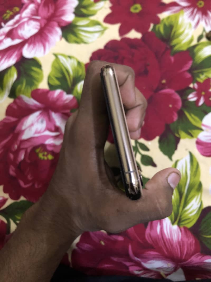 Apple iPhone XS Max 2